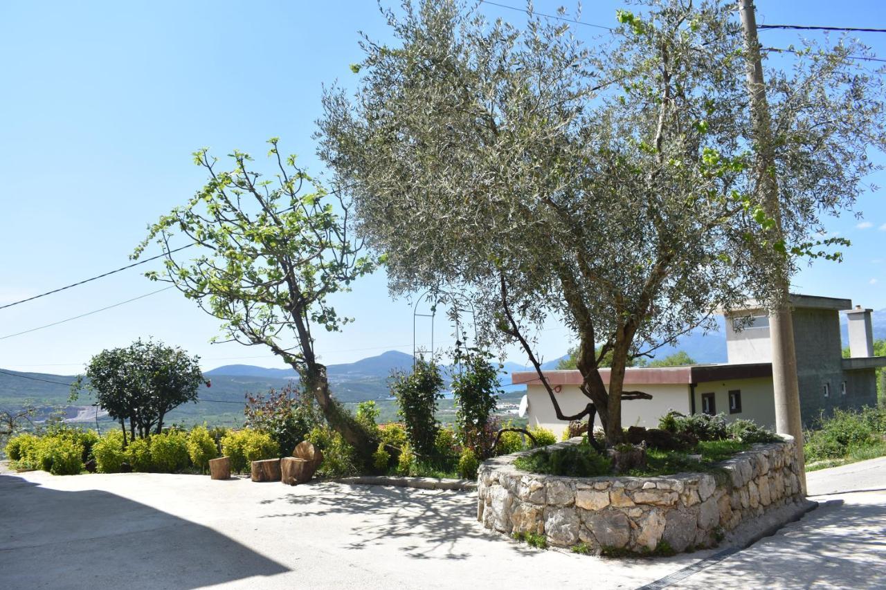 Apartment Macic Dub I Kotor Kültér fotó