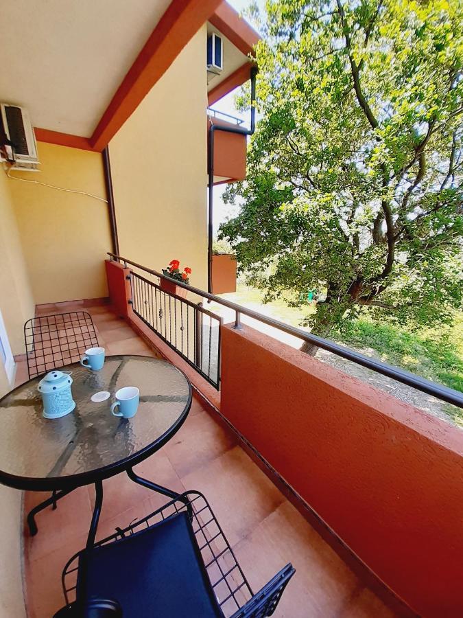 Apartment Macic Dub I Kotor Kültér fotó