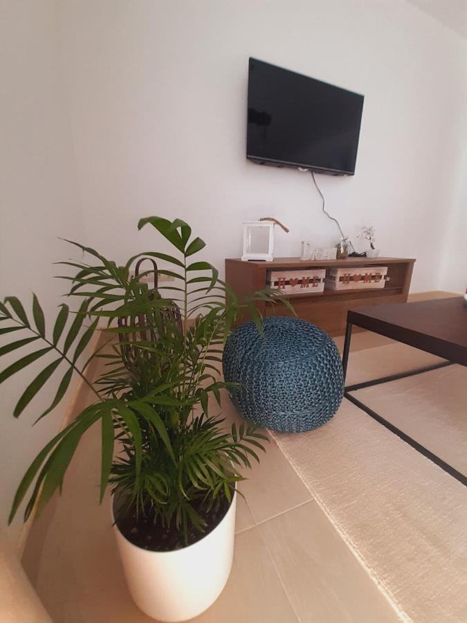Apartment Macic Dub I Kotor Kültér fotó